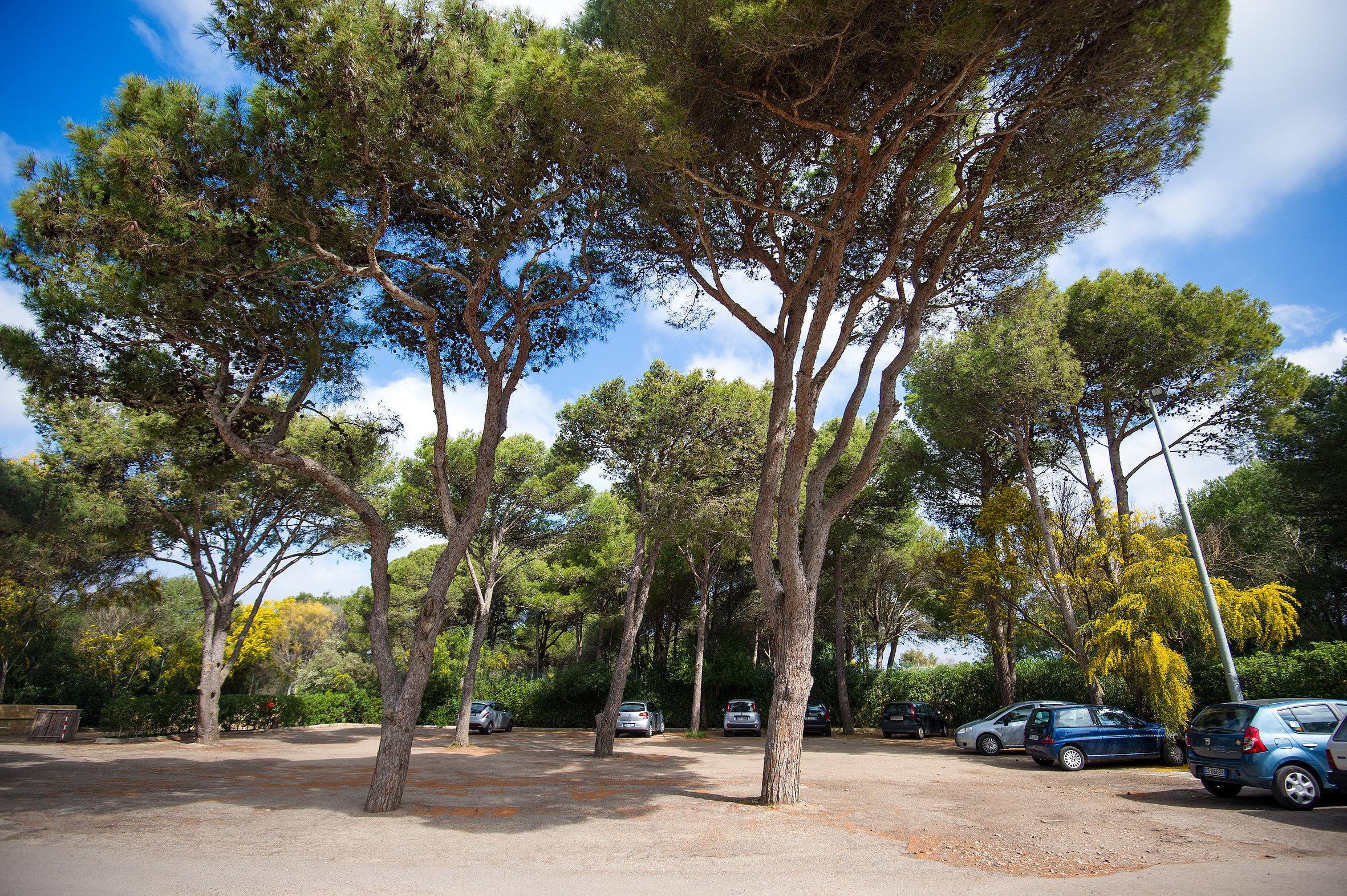 Ecoresort Le Sirene - Caroli Hotels Gallipoli Esterno foto